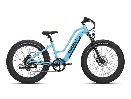 Bicicleta eléctrica de llanta ancha Fastron ST