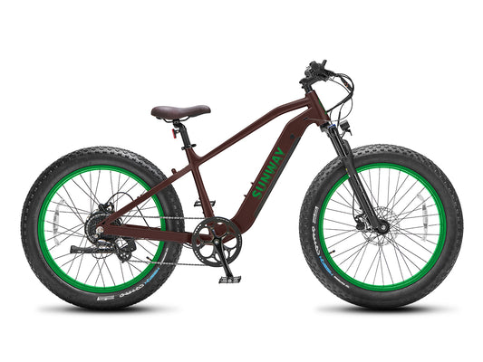 Bicicleta eléctrica de neumáticos gruesos Fastron SO